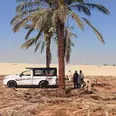 الصورة الأولى