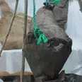 الصورة الأولى