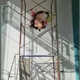 الصورة الأولى