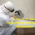 First Image