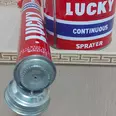 الصورة الأولى