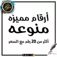 الصورة الأولى