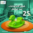 الصورة الأولى