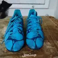 الصورة الأولى