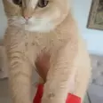 الصورة الأولى