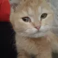 الصورة الأولى