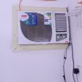 First Image