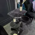 First Image
