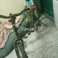 الصورة الأولى