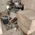 الصورة الأولى