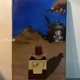 الصورة الأولى