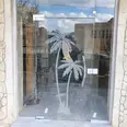 First Image