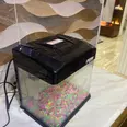 الصورة الأولى