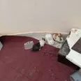 First Image