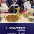 الصورة الأولى