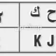 الصورة الأولى
