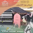 الصورة الأولى