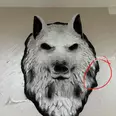 الصورة الأولى