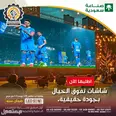 الصورة الأولى