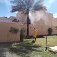 الصورة الأولى