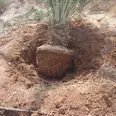 First Image