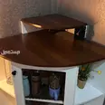 الصورة الأولى