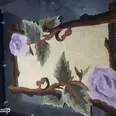 First Image