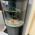 الصورة الأولى