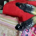 الصورة الأولى