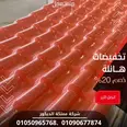 الصورة الأولى