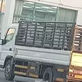 الصورة الأولى