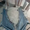First Image