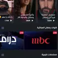الصورة الأولى