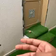 الصورة الأولى