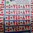 الصورة الأولى