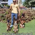 الصورة الأولى