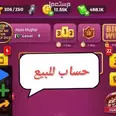الصورة الأولى