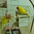 الصورة الأولى