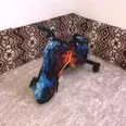 الصورة الأولى