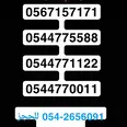 الصورة الأولى