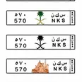 الصورة الأولى