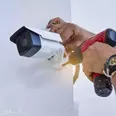 الصورة الأولى