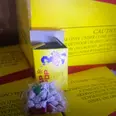 الصورة الأولى