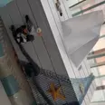 First Image