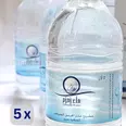 الصورة الأولى