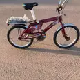الصورة الأولى