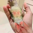 الصورة الأولى