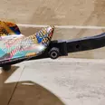 الصورة الأولى