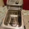 الصورة الأولى