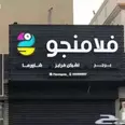 الصورة الأولى